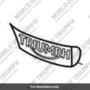 Badge, Fuel Tank, Infill, RH (T2401548)