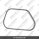 Heat Pad, Fuel Tank, RH (T2401643)