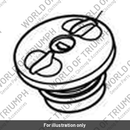 Fuel Filler Cap, Locking (T2401693)