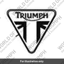 Tank Badge, TFC (T2401999)
