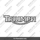 Decal, Fuel Tank, Black (T2402276)