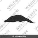 DECAL, TANK, LH, FRONT, LIGHT (T2402520)
