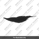DECAL, TANK, RH, REAR, LIGHT (T2402525)