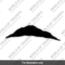 Decal fuel tank (T2402575)