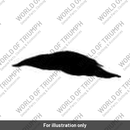 Decal fuel tank (T2402576)