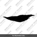 Decal fuel tank (T2402579)