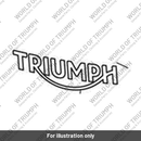 Decal, Fuel Tank, Gold (T2402702)