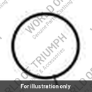 Decal, Fuel Tank (T2402703)