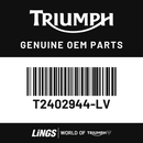 Fuel Tank Cover, Stone Grey (T2402944-LV) barcode