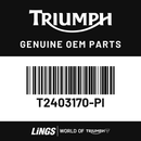 Fuel Tank Assembly, Carbon Black (T2403170-PI) barcode