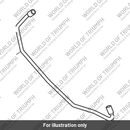 Hose, Tank to Evap (T2403179)