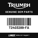 Fuel Tank Assembly (T2403289-FA) barcode