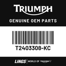 Fuel Tank Assy, Kingfisher Blue (T2403308-KC) barcode