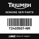 Fuel Tank Cover, Snowdonia White (T2403507-NM) barcode