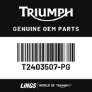 Fuel Tank Cover, Jet Black (T2403507-PG) barcode