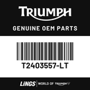 Fuel Tank Assembly, Mineral Grey/Cosmic Yellow (T2403557-LT) barcode