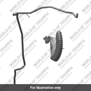 Hose, Drain (T2403584)
