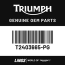 Fuel Tank Assembly, Jet Black (T2403665-PG) barcode