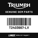 Fuel Tank Assembly, Stone Grey (T2403667-LV) barcode