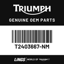 Fuel Tank Assembly, Snowdonia White (T2403667-NM) barcode