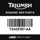 Fuel Tank Cover, Cobalt Blue (T2403787-AA) barcode
