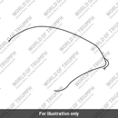 Fuel Tank, Bodywork Pad & Heatpad Assy (T2404462)