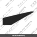 Decal 3, Fuel Tank, LH (T2404496)
