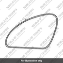 Decal, Fuel Tank, Brushed, RH (T2404873)