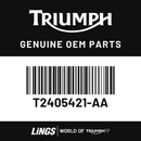 Fuel Tank Assembly, Cobalt Blue (T2405421-AA) barcode