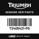 Fuel Tank Assembly, Jet Black (T2405421-PG) barcode