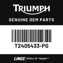 Fuel Tank Cover, Jet Black (T2405433-PG) barcode