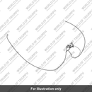 Decal, Stripe, RH (T2406017)