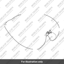 Decal, Stripe, LH (T2406032)