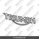 Decal, Fuel Tank, Stripe, RH (T2406427)