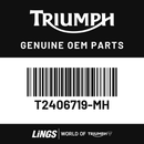 Fuel Tank (T2406719-MH) barcode