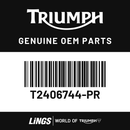 Fuel Tank (T2406744-PR) barcode