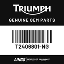Fuel Tank Assembly (T2406801-NG) barcode