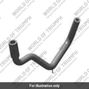 Hose, Purge to Manifold (T2406919)
