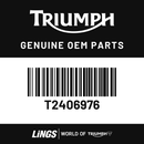Decal, Fuel Tank, Stripe 1, Black (T2406976) barcode