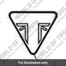 Decal, Fuel Tank, Storm (T2407451)