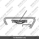 Decal, Fuel Tank, Triangle Line (T2407890)