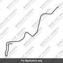 Hose Formed, Tank to Restrictor (T2408565)