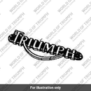 Kit, Fuel Tank Badge (T2409030)