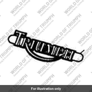 Badge, Fuel Tank, RH (T2409053)