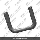 Hose, Purge to Manifold (T2409147)