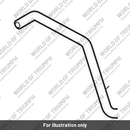 Hose, Formed, Evap to Purge (T2409925)