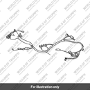Main harness (T2500081)