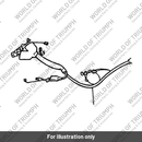 Main harness (T2500088)