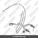 Harness assembly (T2500157)