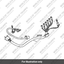 Harness (T2500384)